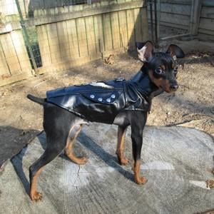 Meet your Posher, Jackson